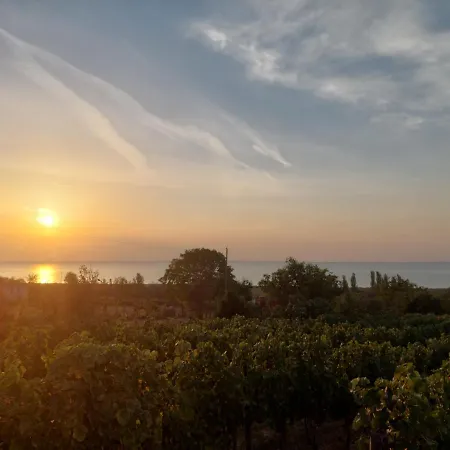 Panorama Vendeghaz